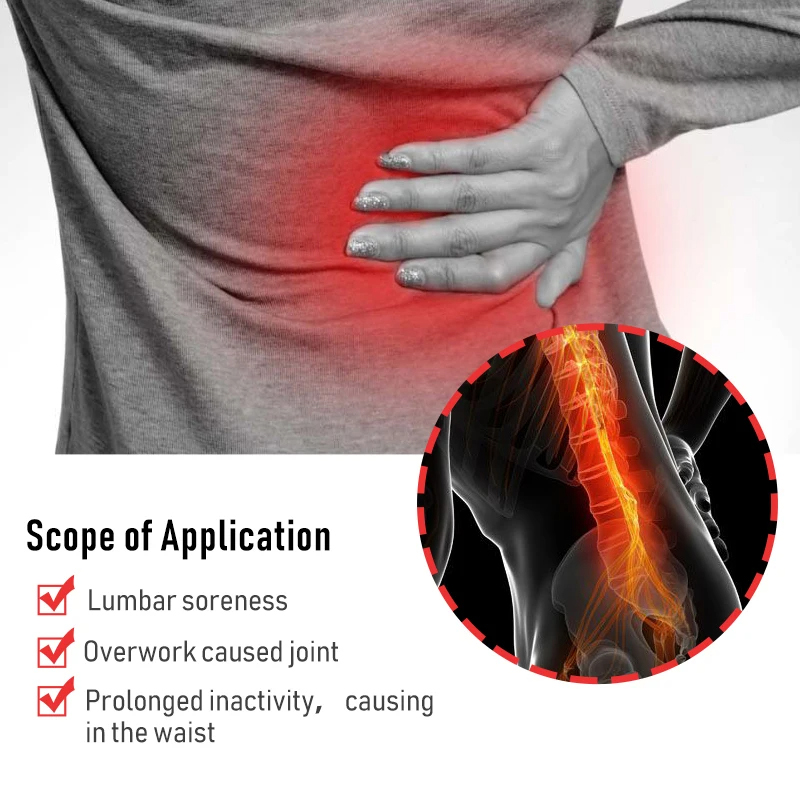 60/6 PCS Lumbar Pain Patch Wor - Herbal Wellness Patches recension och pris