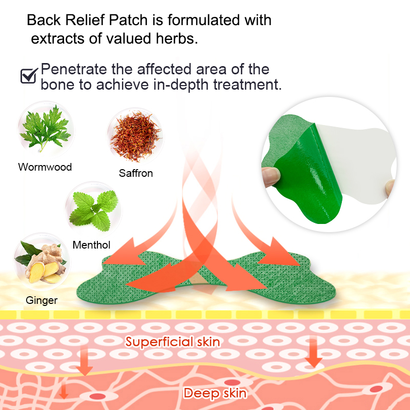 60/6 PCS Lumbar Pain Patch Wor - Herbal Wellness Patches recension och pris