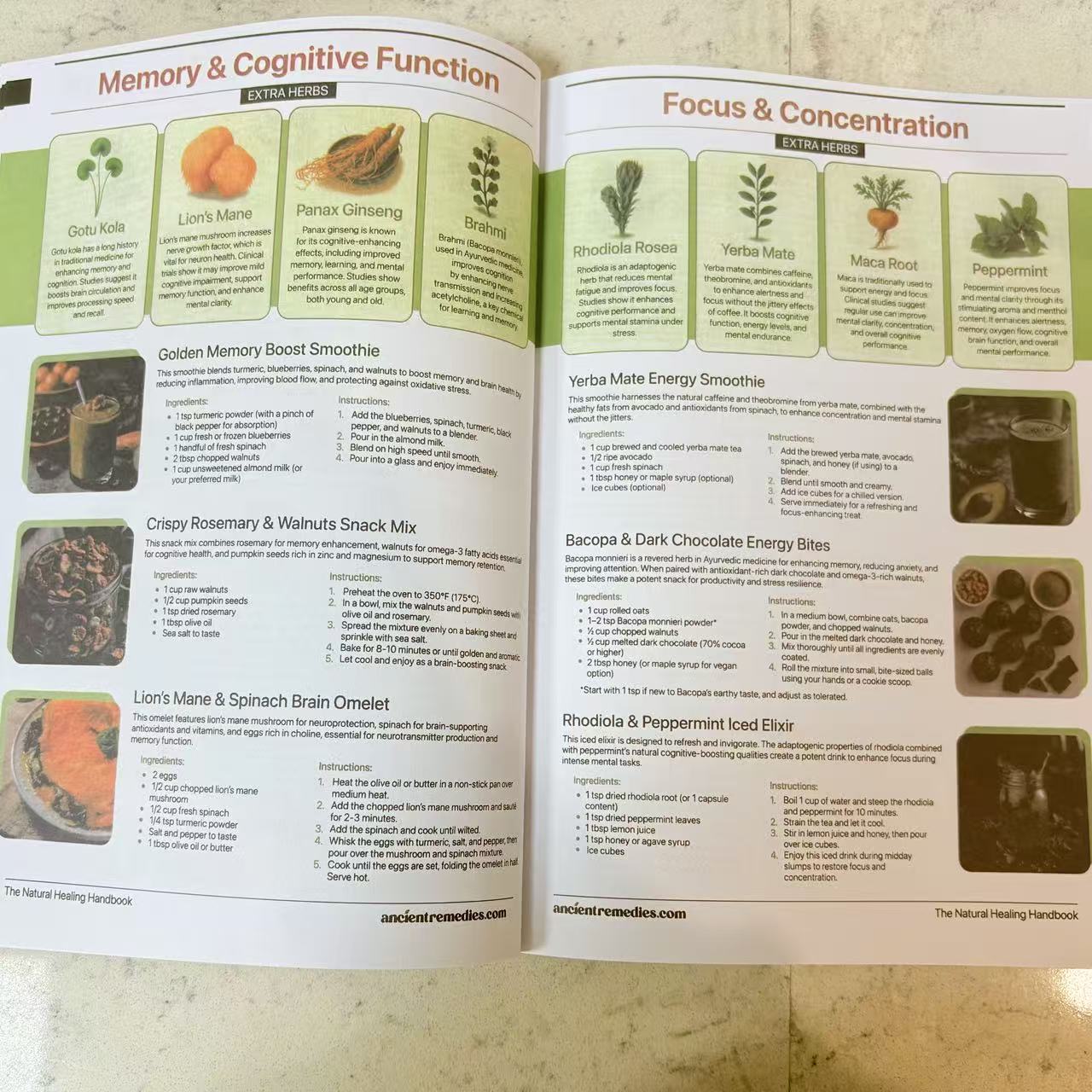 The Natural Healing Handbook,  - Herbal Holistic Wellness recension och pris